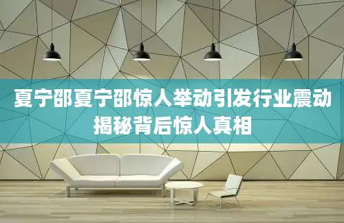 夏宁邵夏宁邵惊人举动引发行业震动揭秘背后惊人真相