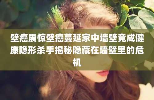 壁癌震惊壁癌蔓延家中墙壁竟成健康隐形杀手揭秘隐藏在墙壁里的危机