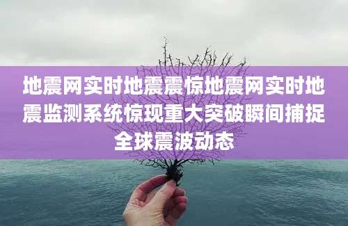 地震网实时地震震惊地震网实时地震监测系统惊现重大突破瞬间捕捉全球震波动态
