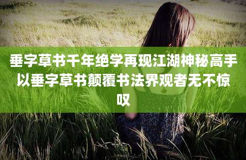 垂字草书千年绝学再现江湖神秘高手以垂字草书颠覆书法界观者无不惊叹
