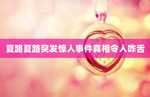 夏路夏路突发惊人事件真相令人咋舌