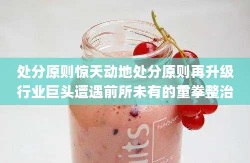 处分原则惊天动地处分原则再升级行业巨头遭遇前所未有的重拳整治