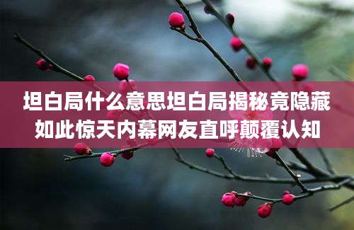 坦白局什么意思坦白局揭秘竟隐藏如此惊天内幕网友直呼颠覆认知