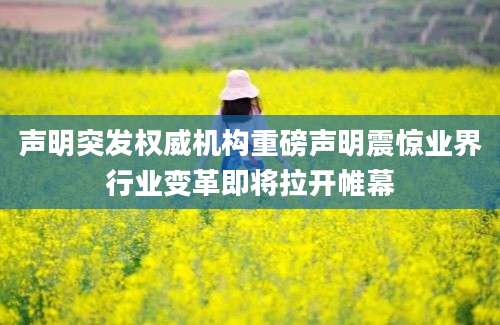 声明突发权威机构重磅声明震惊业界行业变革即将拉开帷幕