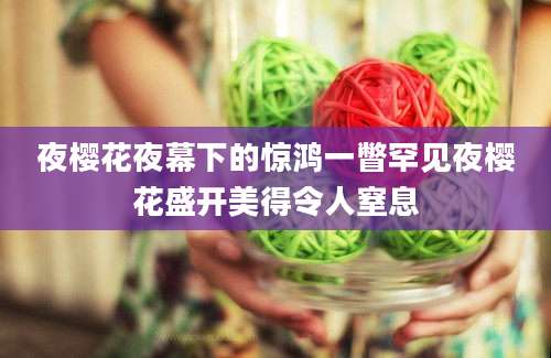 夜樱花夜幕下的惊鸿一瞥罕见夜樱花盛开美得令人窒息