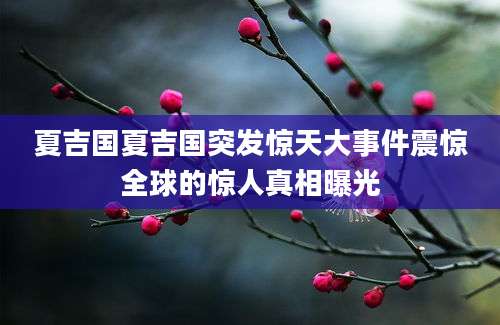 夏吉国夏吉国突发惊天大事件震惊全球的惊人真相曝光
