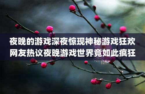 夜晚的游戏深夜惊现神秘游戏狂欢网友热议夜晚游戏世界竟如此疯狂