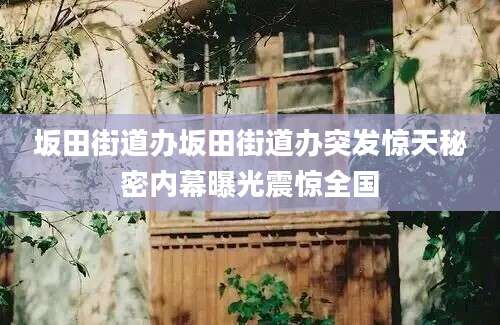 坂田街道办坂田街道办突发惊天秘密内幕曝光震惊全国