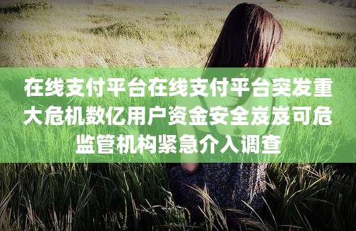 在线支付平台在线支付平台突发重大危机数亿用户资金安全岌岌可危监管机构紧急介入调查