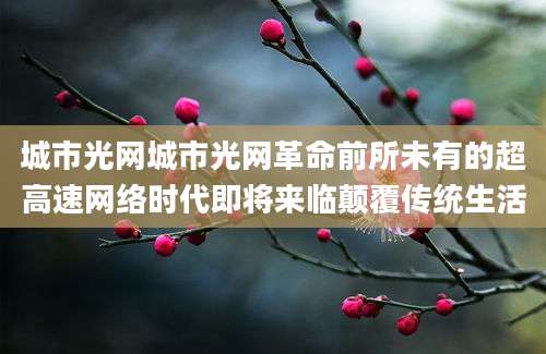 城市光网城市光网革命前所未有的超高速网络时代即将来临颠覆传统生活