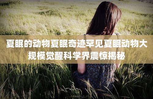 夏眠的动物夏眠奇迹罕见夏眠动物大规模觉醒科学界震惊揭秘