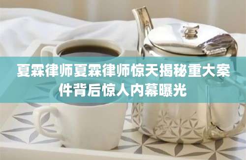 夏霖律师夏霖律师惊天揭秘重大案件背后惊人内幕曝光